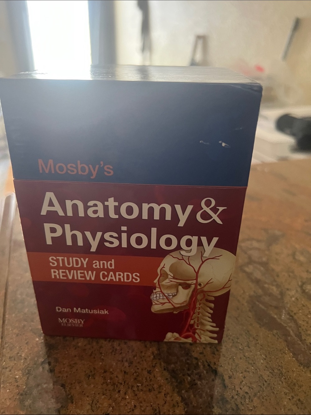 Anatomy & Physiology Study and Review Cards - Blue and Maroon